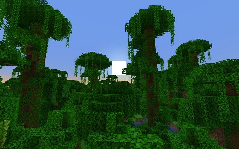 Jungle biomes can have a lot in them (Image via Mojang)